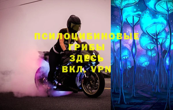 ECSTASY Новокубанск