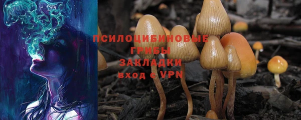 первитин Новозыбков