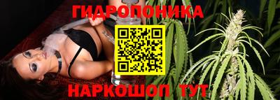 сатива Гусиноозёрск