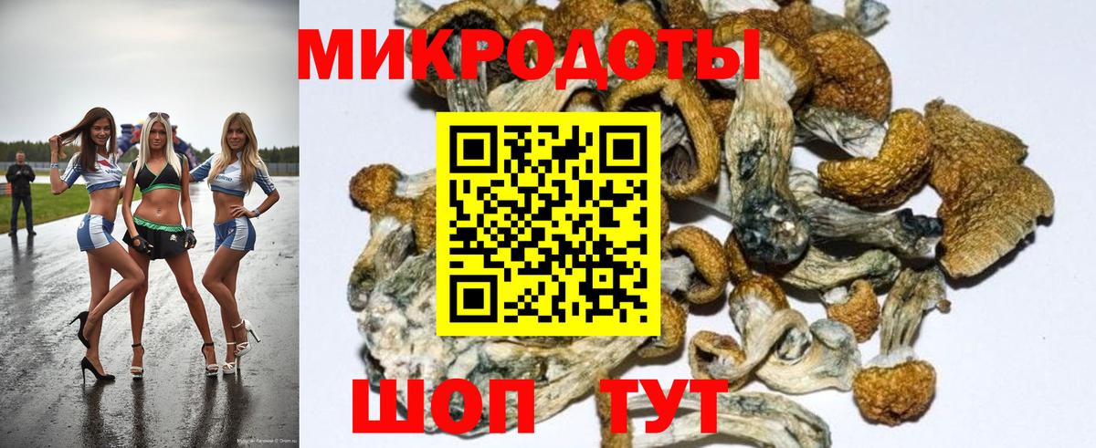 Галлюциногенные грибы ЛСД  цена   Кашира 