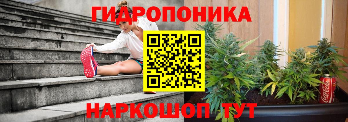 Марихуана Ganja  Кашира  Шишки марихуана индика  Конопля марихуана 